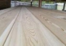 Лиственница или сосна?