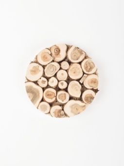 juniper_mozhzhevelnik